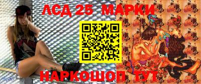 гашик Славгород