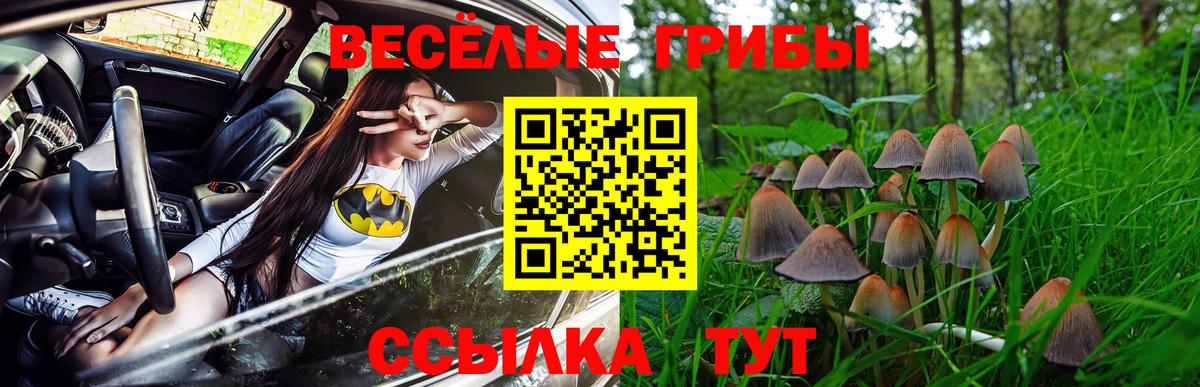 Псилоцибиновые грибы GOLDEN TEACHER  Вход с VPN  Санкт-Петербург 
