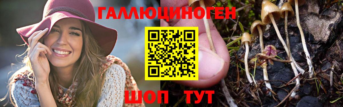 Галлюциногенные грибы Magic Shrooms Санкт-Петербург